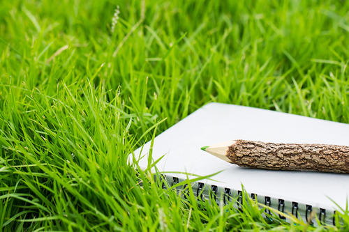 Fehlt noch was? Drei Monate lang konnten Beschäftigte, Wissenschaftler und Studierende der Freien Universität Vorschläge machen, um das Leitbild Nachhaltigkeit, das sich die Freie Universität gegeben hat, zu ergänzen.