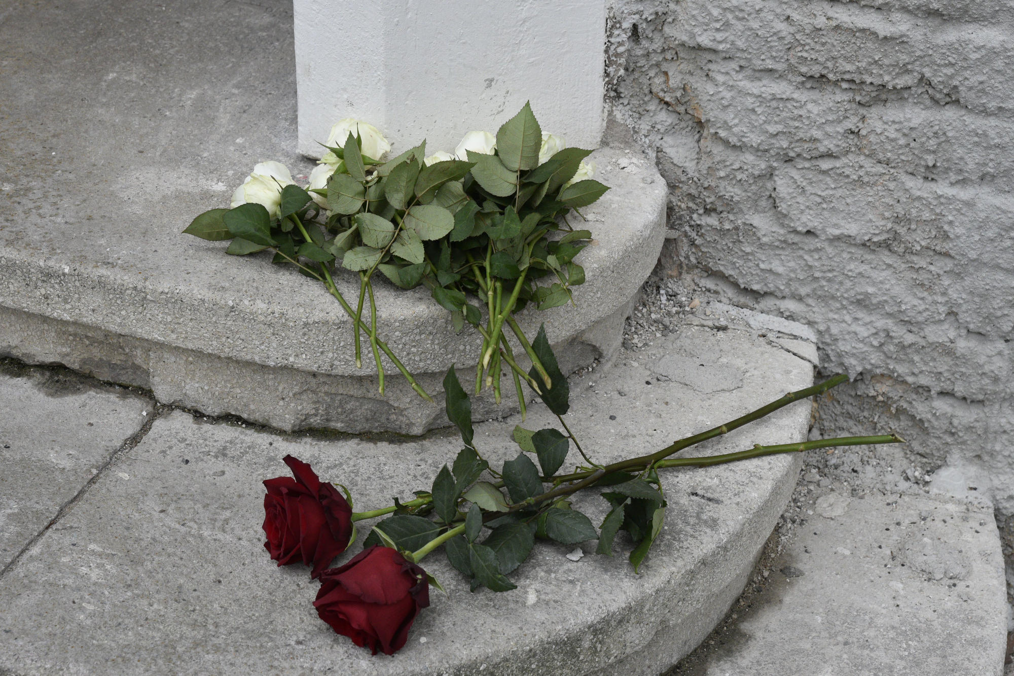 Vor der Ihnestraße 22. In dem Gebäude befand sich von 1927 bis 1945 das Kaiser-Wilhelm-Institut (KWI) für Anthropologie, menschliche Erblehre und Eugenik. Die Kaiser-Wilhelm-Gesellschaft ist die Vorgängerin der Max-Planck-Gesellschaft.