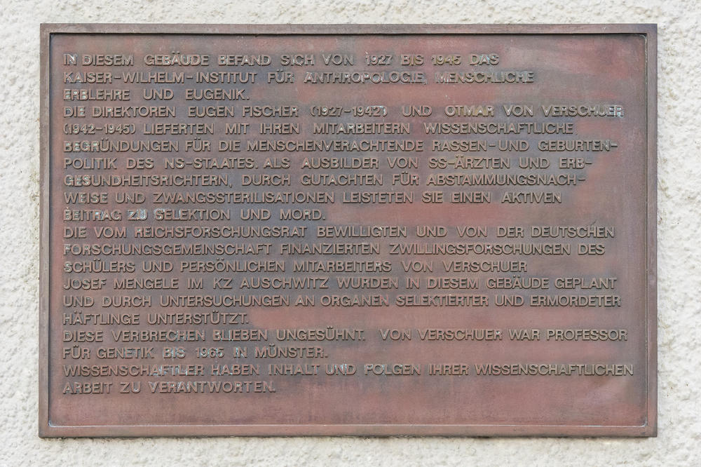 Gedenktafel am Gebäude Ihnestraße 22.