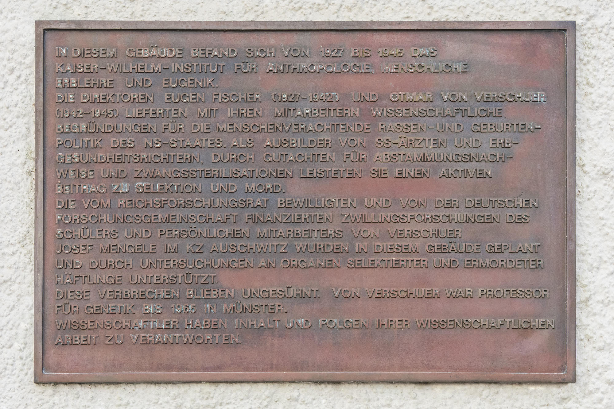 Gedenktafel am Gebäude Ihnestraße 22.