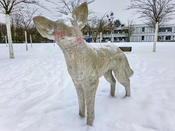 Vor der Holzlaube harrt Trickster aus, die Kojoten-Skulptur, die der Künstler Robert Patz 2016 für einen Kunst-am-Bau-Wettbewerb entworfen hat. Das Original, aus Holz, steht inzwischen im Gebäude, der Betonabguss davor, mit roten Kältebäckchen.