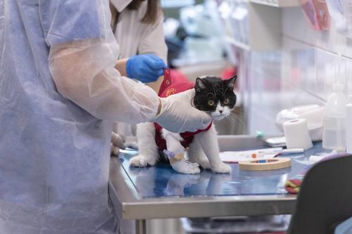 Jede Station hat einen eigenen Behandlungsraum.