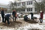 Vier von 14 Apfelbäume mussten wegen starken Pilzbefalls gefällt werden. Die Studierenden pflanzten unter Anleitung eines Fachmanns vier junge Bäume als Ersatz.