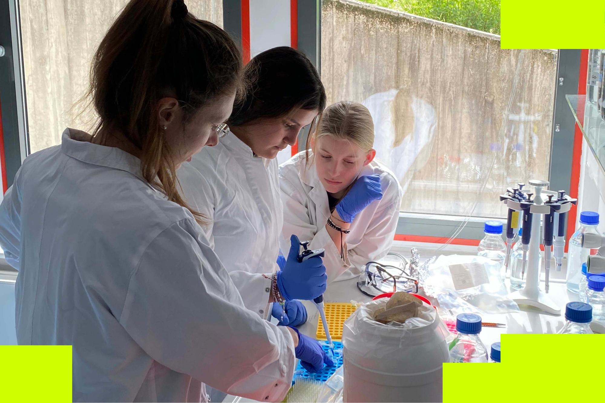 Workshop: Einblicke in die Biophysik: Proteine sind kleine Maschinen