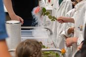 Was passiert mit einer Rose in flüssigem Stickstoff? Sie wird hart wie Glas und zerbricht.