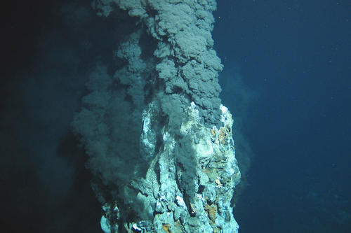 Extremer Lebensraum: Aus der Hydrothermalquelle am Mittelatlantischen Rücken fließt heißes Wasser ins Meer. Aufnahme des ferngesteuerten Fahrzeugs ROV Kiel 6000 in einer Tiefe von 3000 Metern.