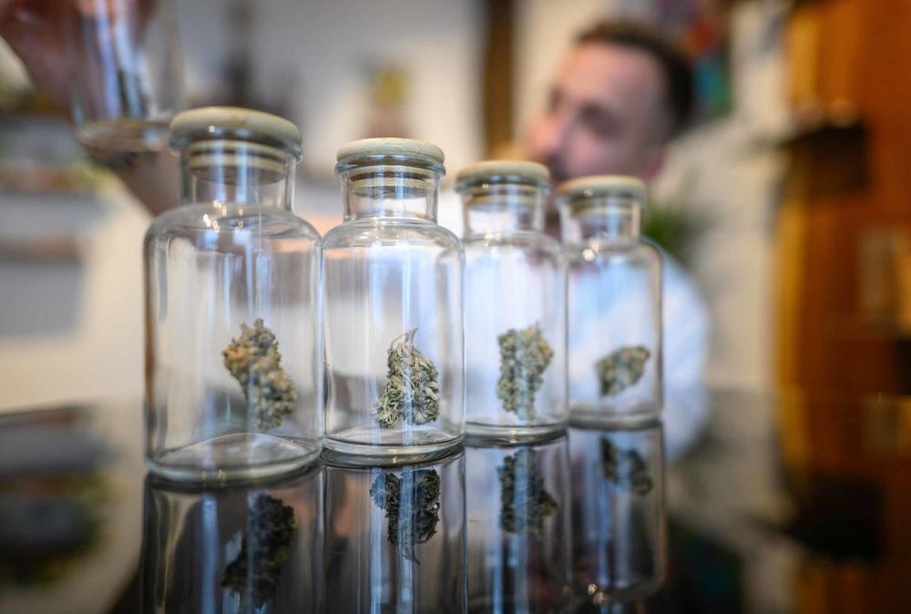 Die CBD-Blüten liegen unter der Grenze von 0,2 Prozent THC.