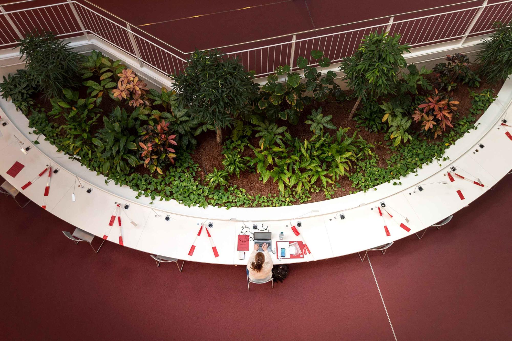 Studieren in Zeiten von Corona: Um Ansteckungen zu vermeiden, waren Arbeitsplätze in den Bibliotheken mit Flatterband gesperrt.