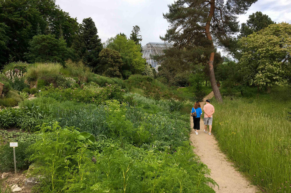Der Botanische Garten ist „ein einzigartig schöner Arbeitsplatz“, findet Annika Cory.