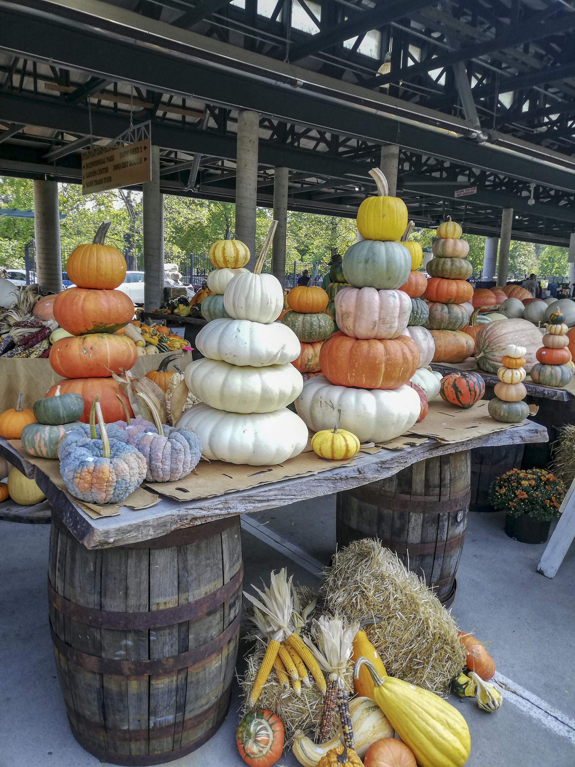 Der Farmers Market in Nashville ist für „producers only“, das heißt, die Händler dürfen ausschließlich Waren anbieten, die sie selbst anbauen, züchten oder backen.