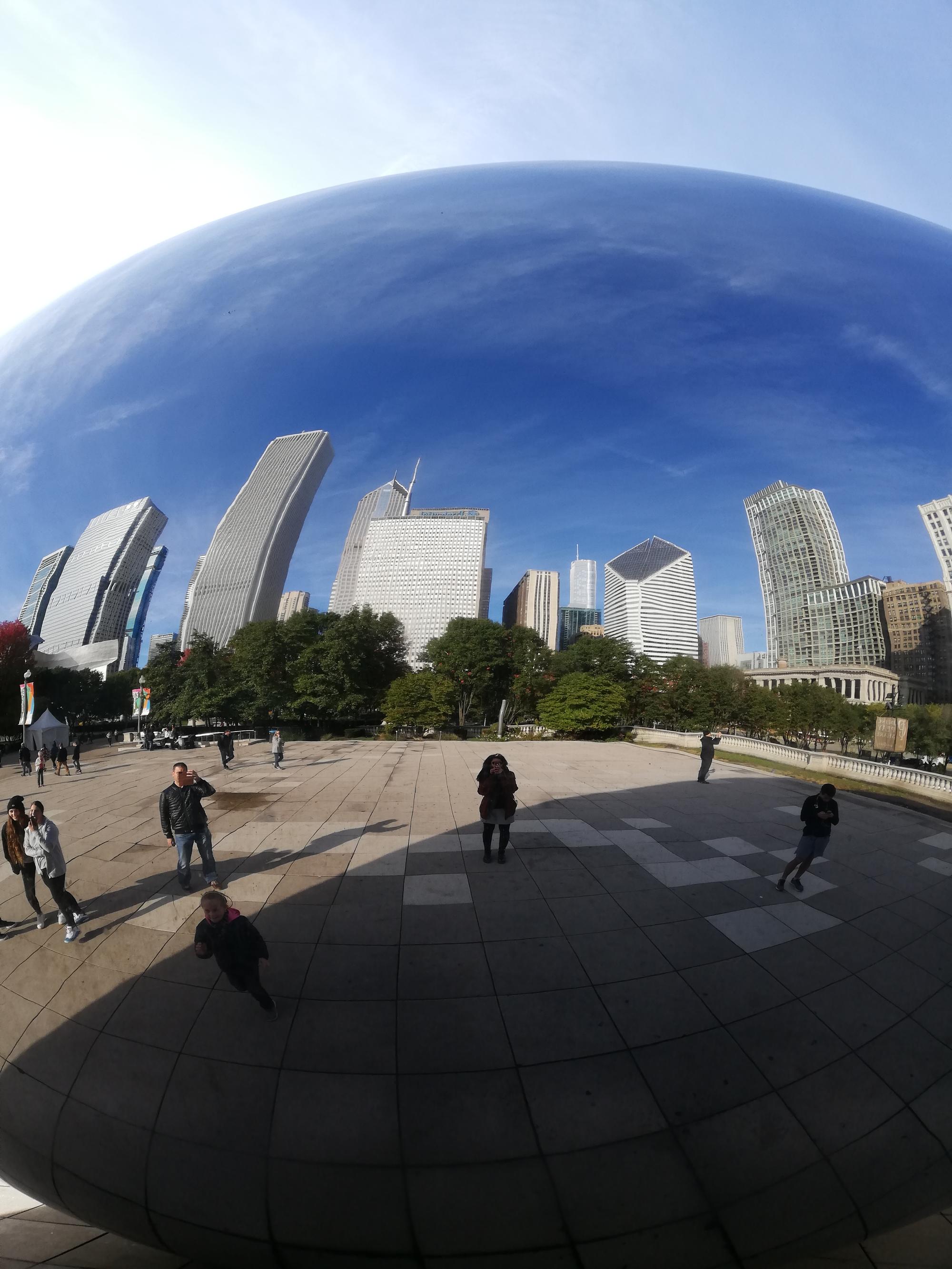 The Bean