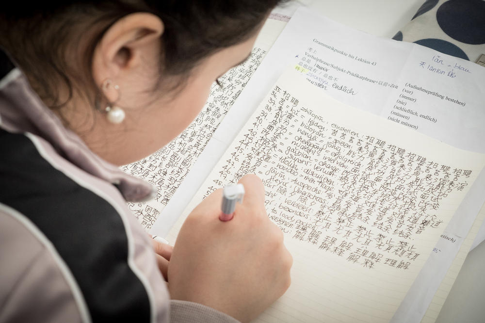 The Institute for Chinese Studies at FU Berlin is one of the largest academic centers for China research in Germany.