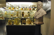 The Gurlt Collection at the Institute of Veterinary Anatomy is open to the public.