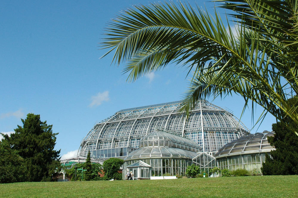 On the grounds of the Botanic Garden, students working on the “UniGardening” project showed...