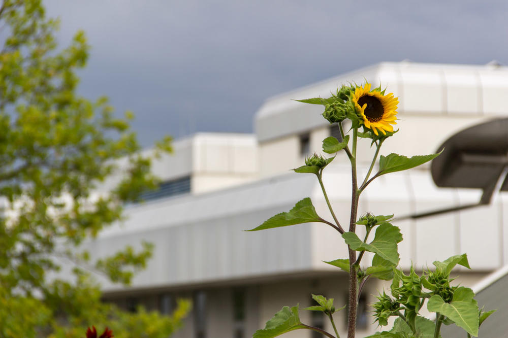 In 2001 Freie Universität Berlin introduced an extensive energy management plan – with big savings that helped free up other university funds and helped protect the climate.
