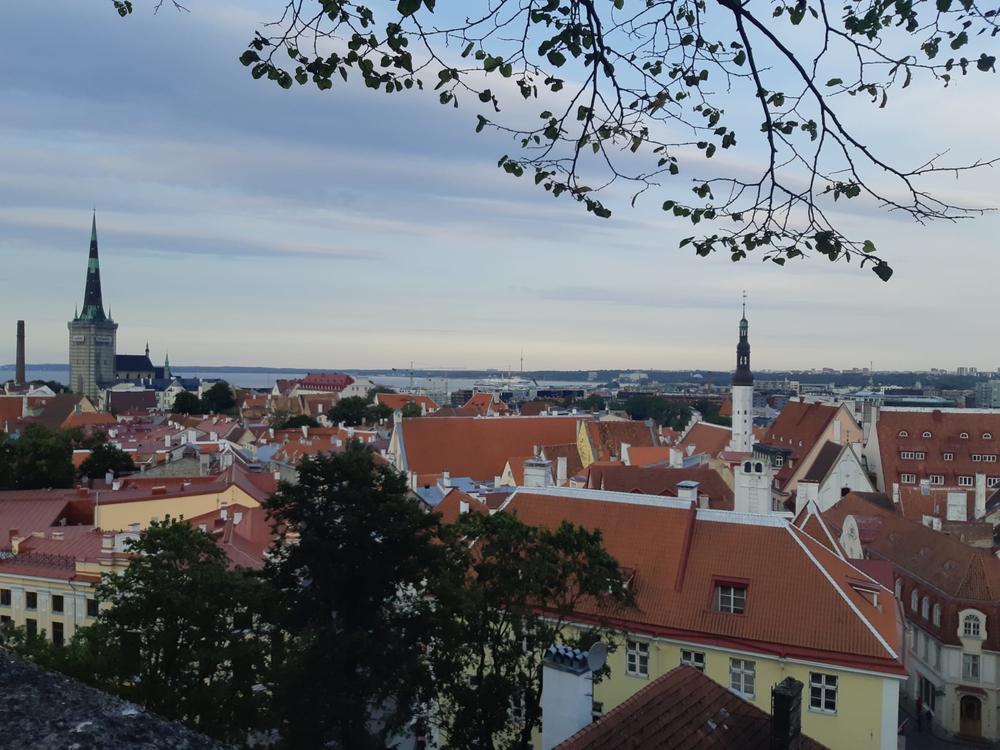Panorama view of Tallinn’s historic city center.