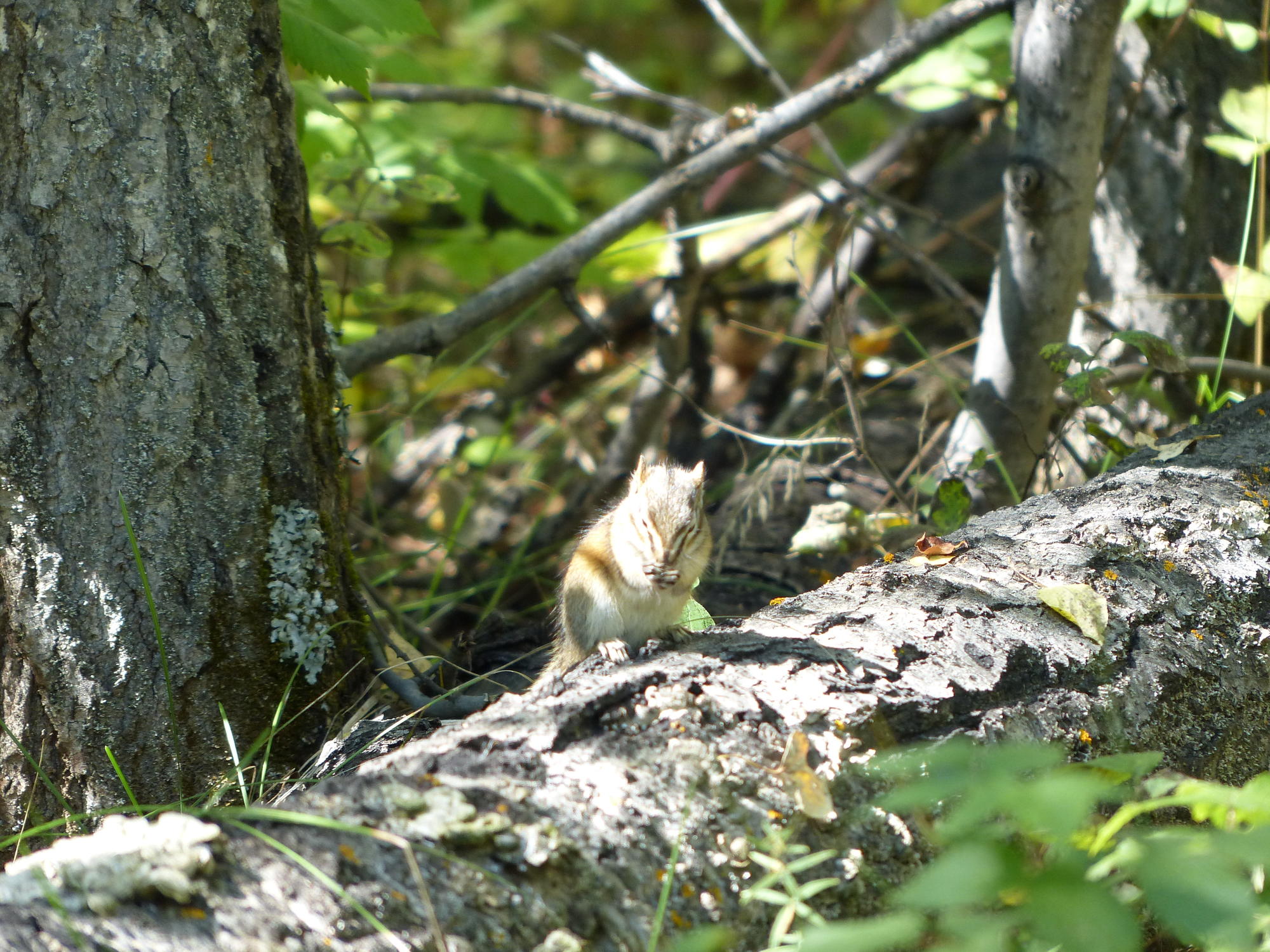 ...and others that were more innocuous.