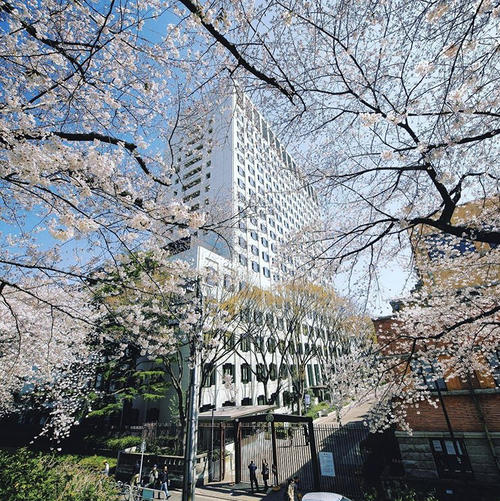 Sophia University Japan