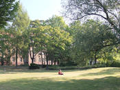 Recreational area on Campus Lankwitz