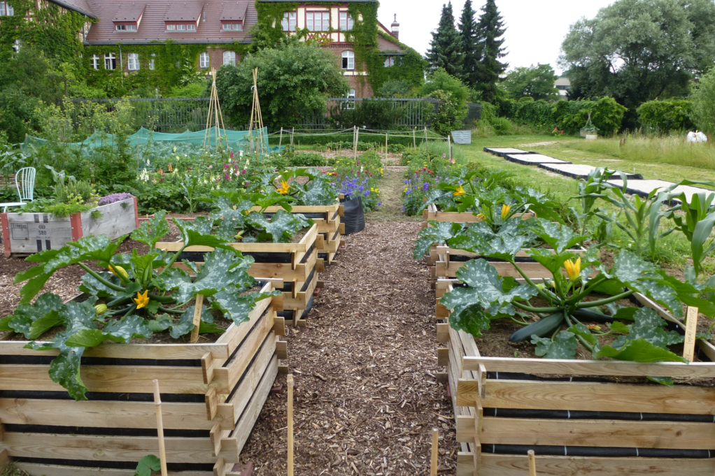 Trial plants in the Botanical Garden