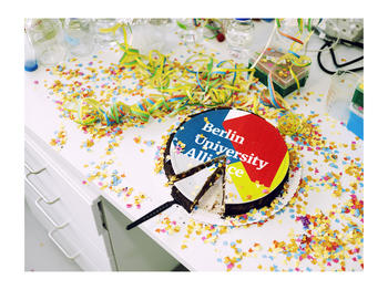 Berlin University Alliance Cake