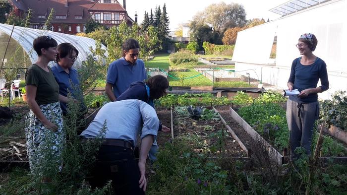 Teaching Incubator 2017