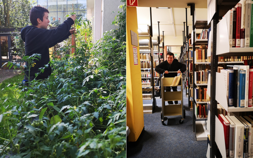 Library studies