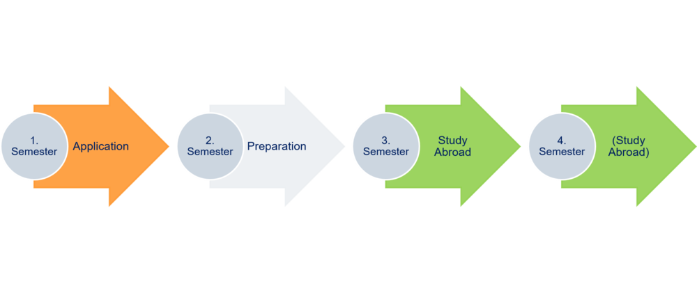 Master: Study Abroad Timeline