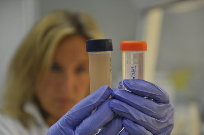 experimentelle Physik_BWA2503