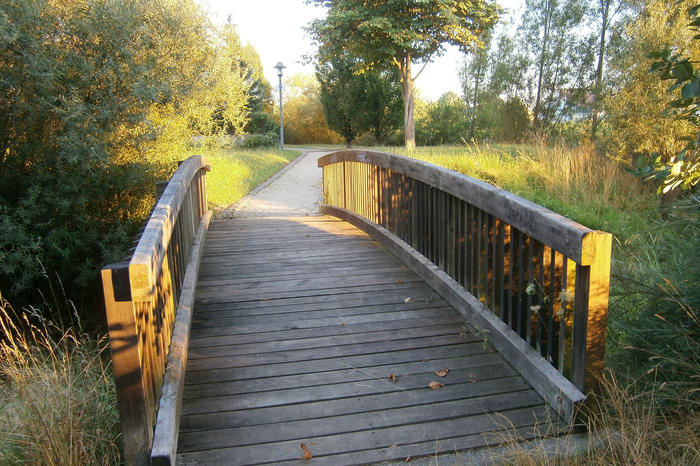 Kollegiale (Sucht-)Beratung