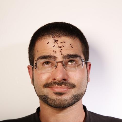 Prof. Dr. Tomer Czaczkes