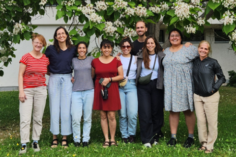 Team Modelling Human-Environmental Interactions
