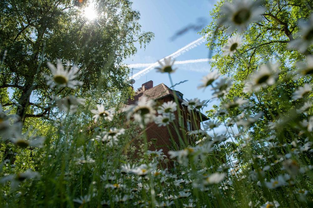 Wie gelingt nachhaltige Transformation an Hochschulen? Darüber diskutieren internationale Expert*innen auf Einladung der Freien Universität Berlin.