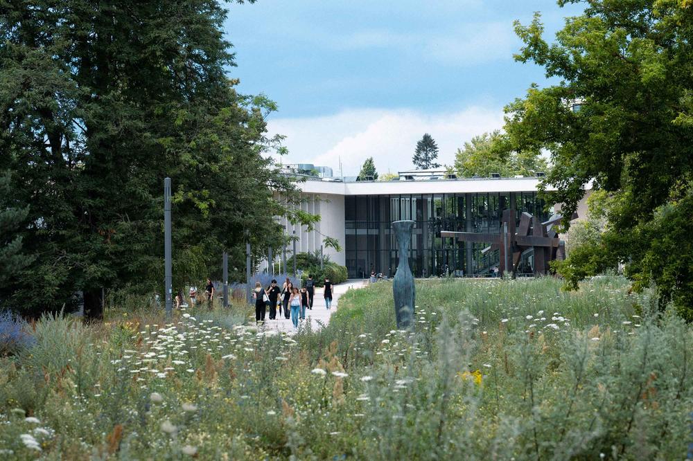Die Mensa-Aue zwischen Mensa 1 und Henry-Ford-Bau ist Teil des "Blühenden Campus".