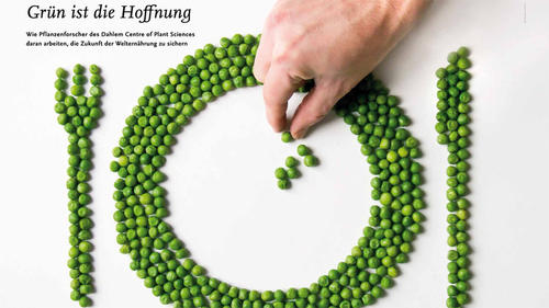 Grün ist die Hoffnung: Wie Pflanzenforscher des Dahlem Centre of Plant Sciences daran arbeiten, die Zukunft der Welternährung zu sichern.