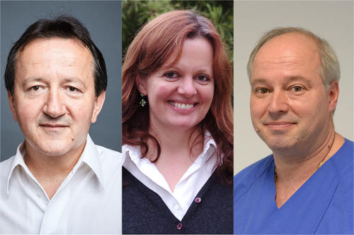 Im Verbund gegen Arthrose: Der Sportwissenschaftler Adamantios Arampatzis (li. Humboldt-Universität zu Berlin), die Biochemikerin Petra Knaus (Freie Universität Berlin) und Wolfgang Ertl, Unfallchirurg an der Charité, Campus Benjamin Franklin.