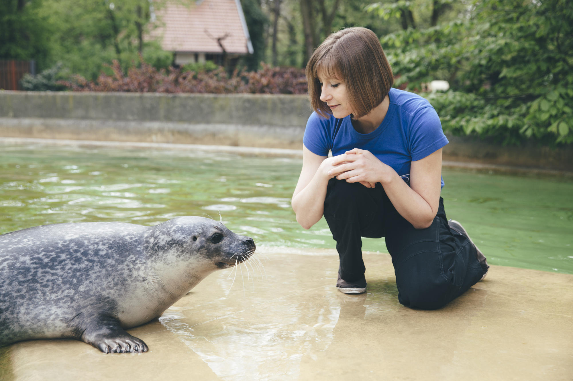 Miriam Stach erforscht Augenerkrankungen bei Robben, die in menschlicher Obhut leben.