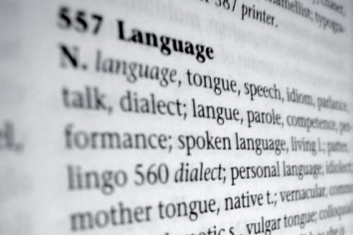 Der Exzellenzcluster „Languages of Emotion“ sucht nach einer gemeinsamen Sprache der Natur- und Geisteswissenschaften.