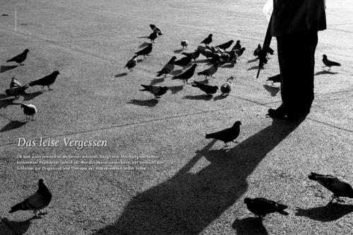 Das leise Vergessen