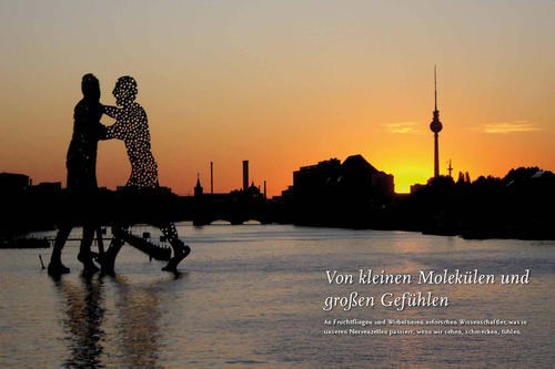 Von kleinen Molekülen und großen  Gefühlen: Zwei Forscher der Freien Universität untersuchen, was an den Enden unserer Nervenzellen passiert, wenn wir sehen, schmecken, fühlen.