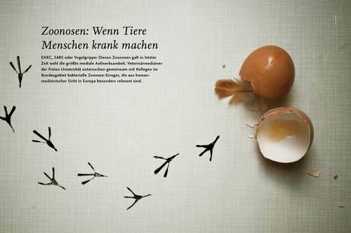 Veterinärmediziner der Freien Universität untersuchen bakterielle Erreger, die Mensch und Tier krank machen können.