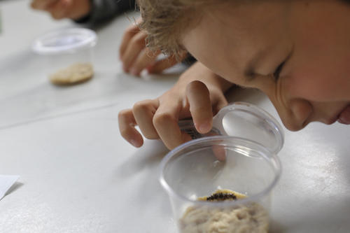 Aus eigener Anschauung lernen: Das Projekt TuWaS! bietet Lerneinheiten für die Klassenstufen 1 bis 6 und unterstützt Lehrkräfte an Grundschulen durch Fortbildungen und ausleihbare Experimentiermaterialien.