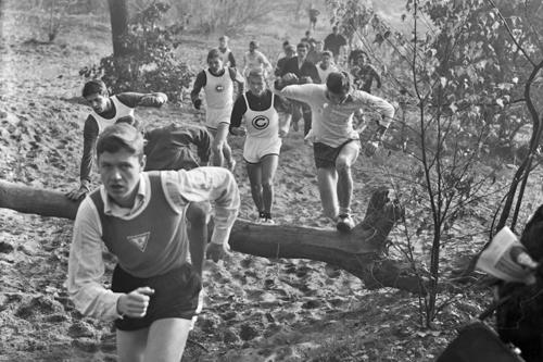 Eine harte Gangart wurde den Teilnehmern des 1. Berliner Crosslaufs 1964 abverlangt: Am Teufelsberg ging es auch durch Panzer-Übungsgelände der britischen Streitkräfte.