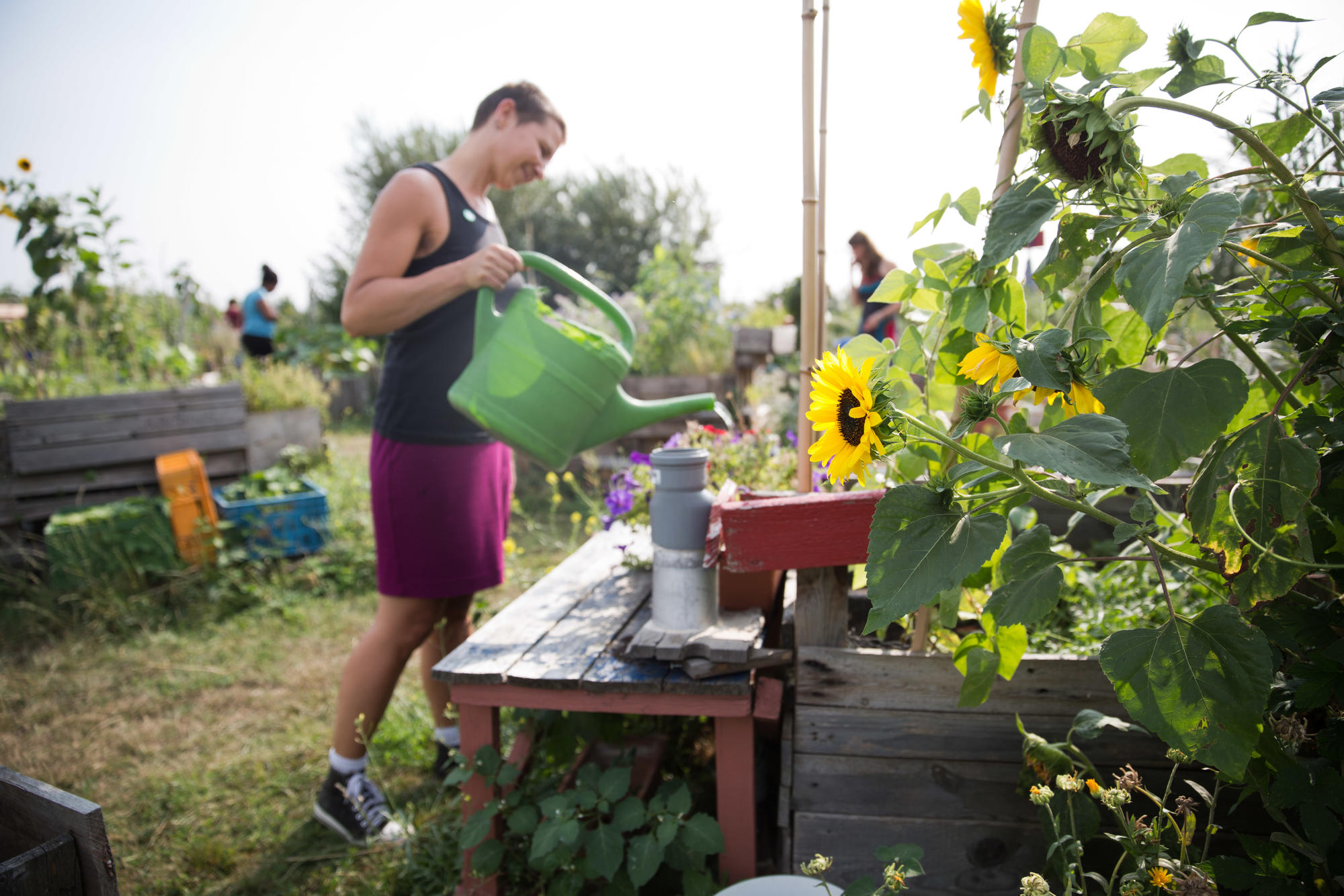 Bewusst ökologisch: Viele alternative Initiativen sorgen sich um die Natur und wollen der dominanten Konsumgesellschaft etwas entgegensetzen. Das Foto zeigt ein Urban- Gardening-Projekt auf dem Tempelhofer Feld in Berlin.