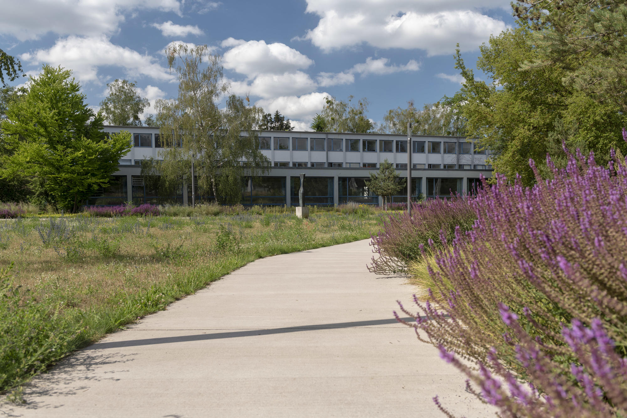 Bis 2025 will die Freie Universität klimaneutral werden.