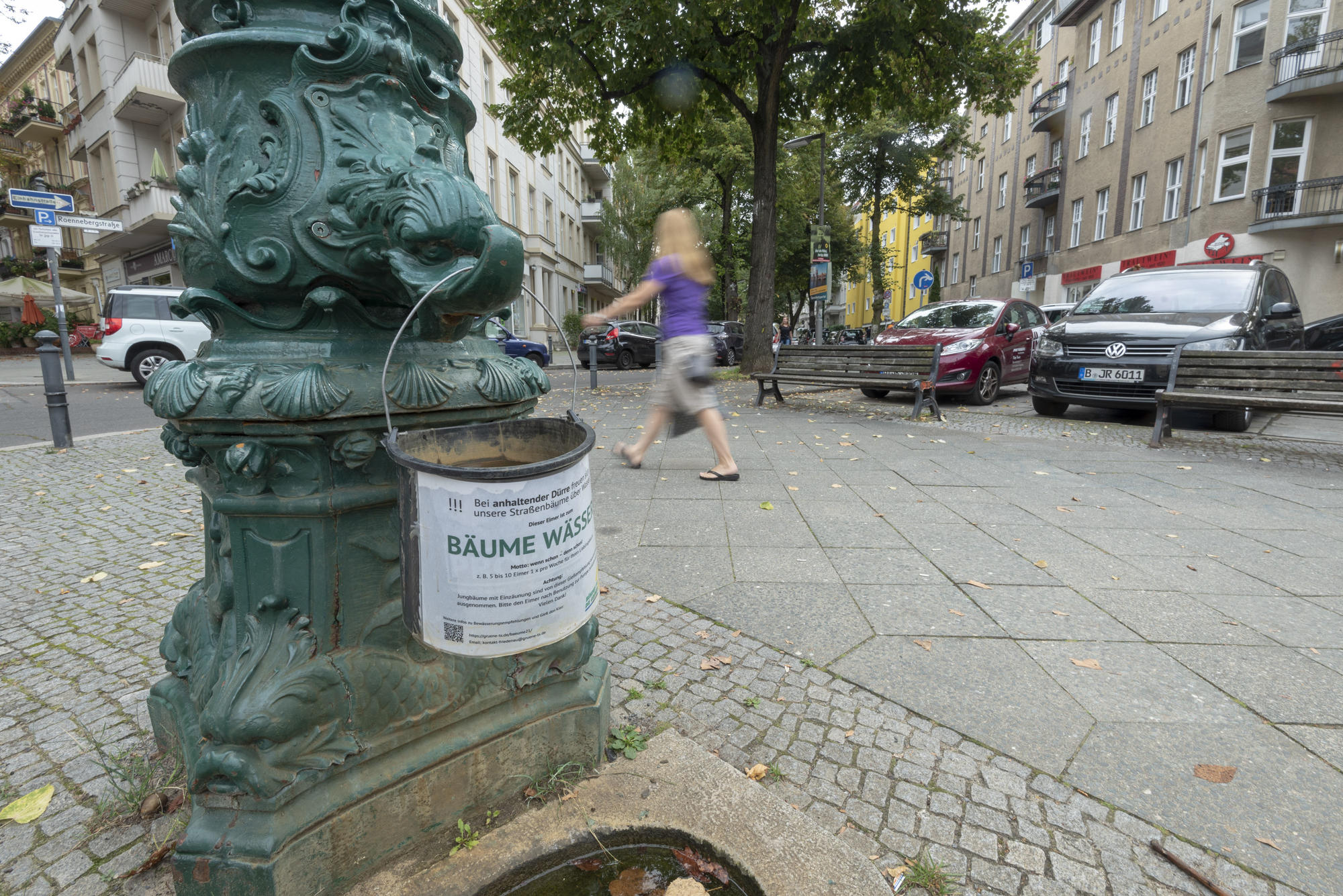 Bitte wässern. Bäume in Städten drohen in heißen Sommern einzugehen.