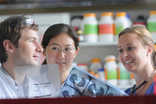 Die Graduiertenschule für Integrative Onkologie an der Charite will sich der Krebsbekämpfung widmen.