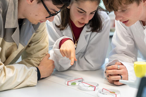 Studierende im Praktikumsraum der Biologie