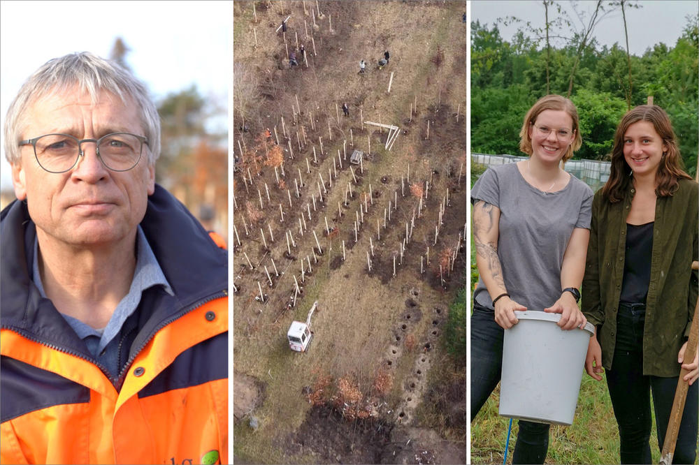 Manfred Forstreuter (li.) transportierte Rotbuchen aus dem Botanischen Garten Berlin in den nahegelegenen Grunewald und pflanzte sie dort an. Die Studentinnen Mareike Liese (li.) und Marlene Finger kümmern sich nun um die Buchen.