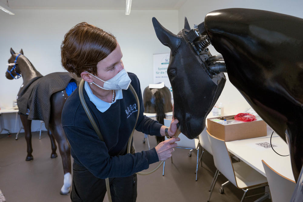 Am Pferdemodell lässt sich gut nachvollziehen, wie Koliken entstehen und behandelt werden müssen.